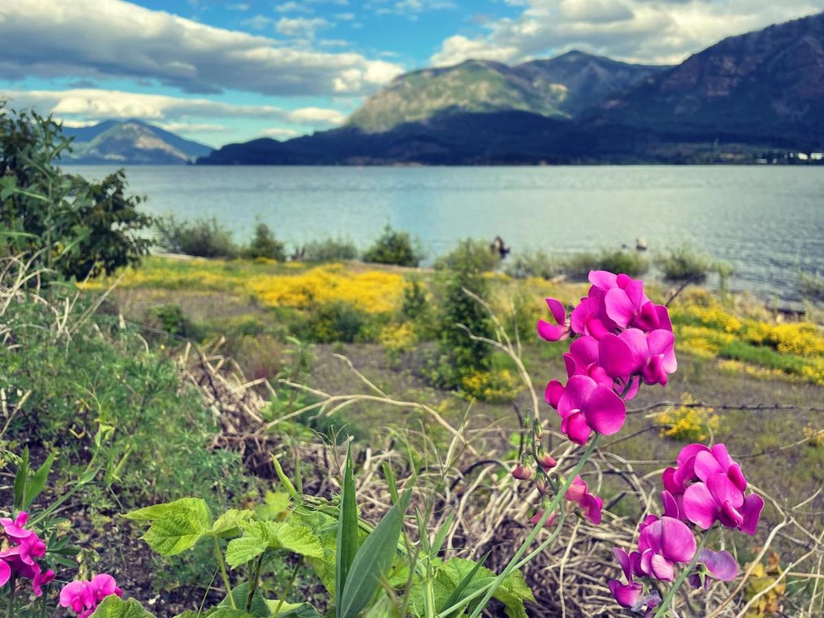 Gorgeous Gateway To The Columbia River Gorge Washougal Eksteriør billede