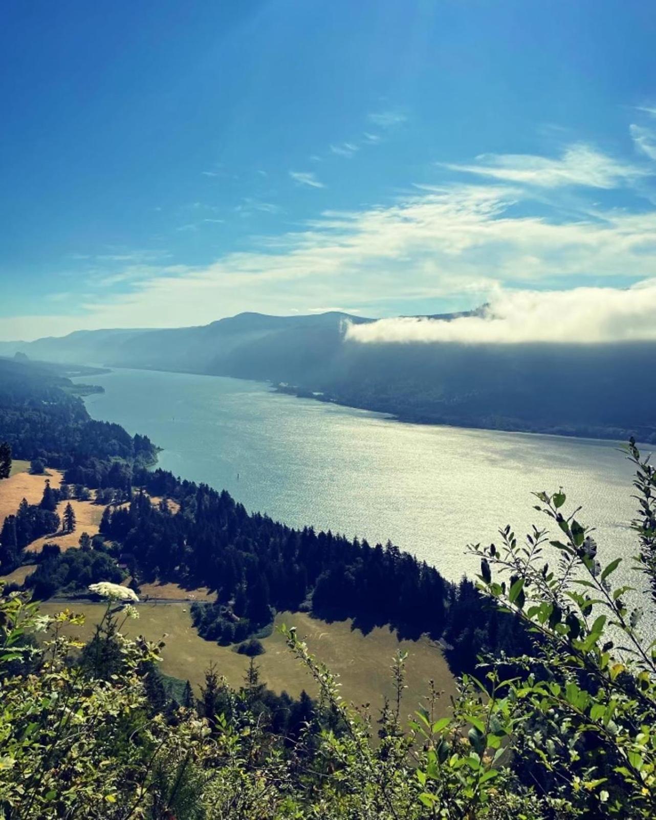 Gorgeous Gateway To The Columbia River Gorge Washougal Eksteriør billede