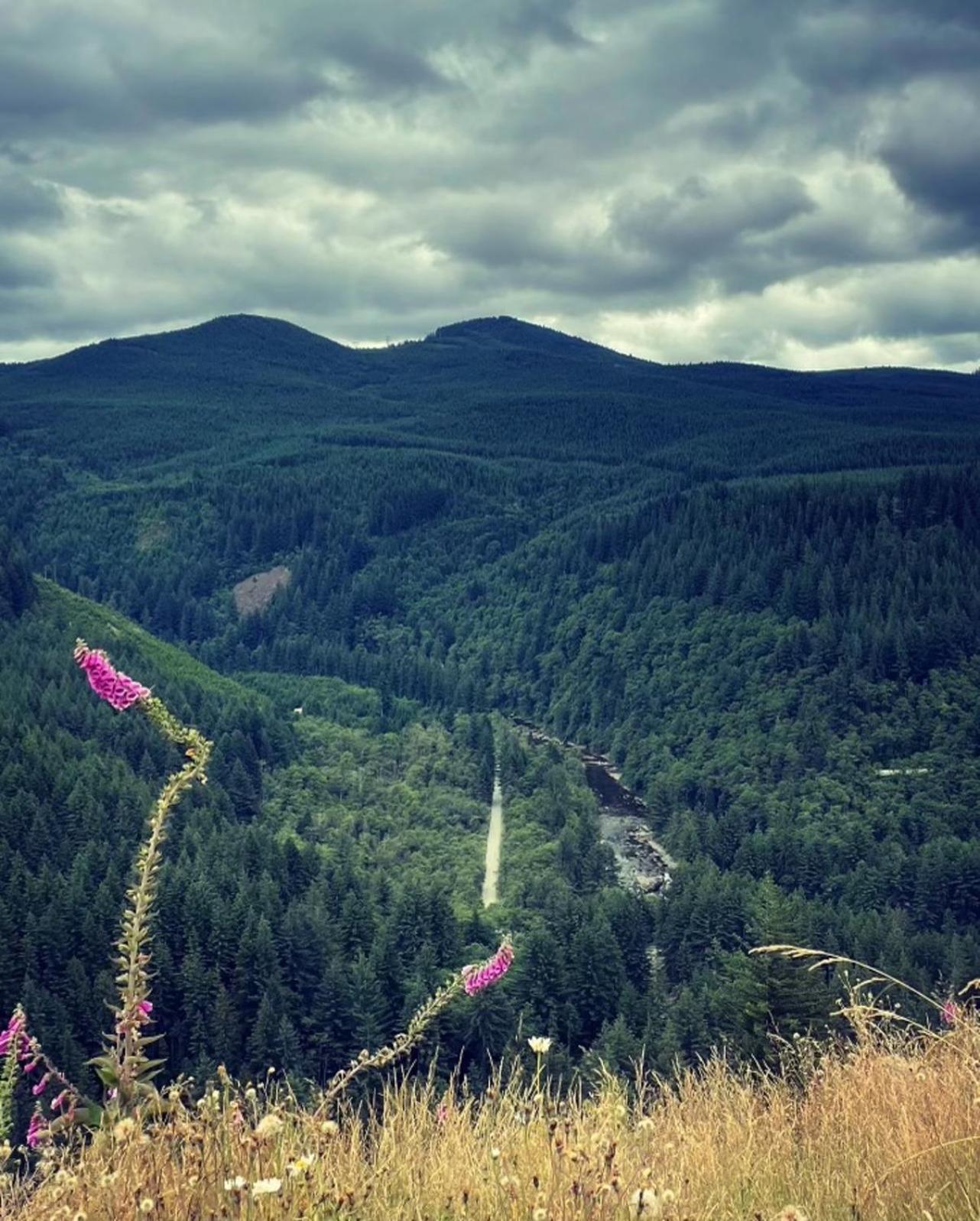 Gorgeous Gateway To The Columbia River Gorge Washougal Eksteriør billede