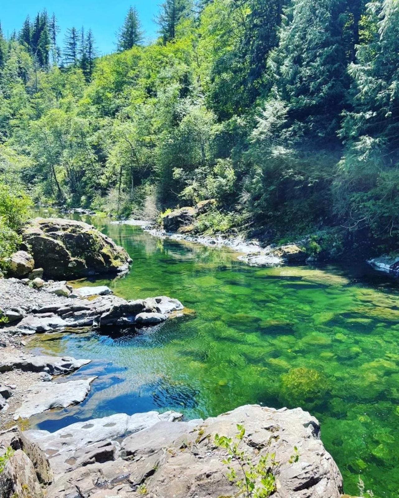 Gorgeous Gateway To The Columbia River Gorge Washougal Eksteriør billede