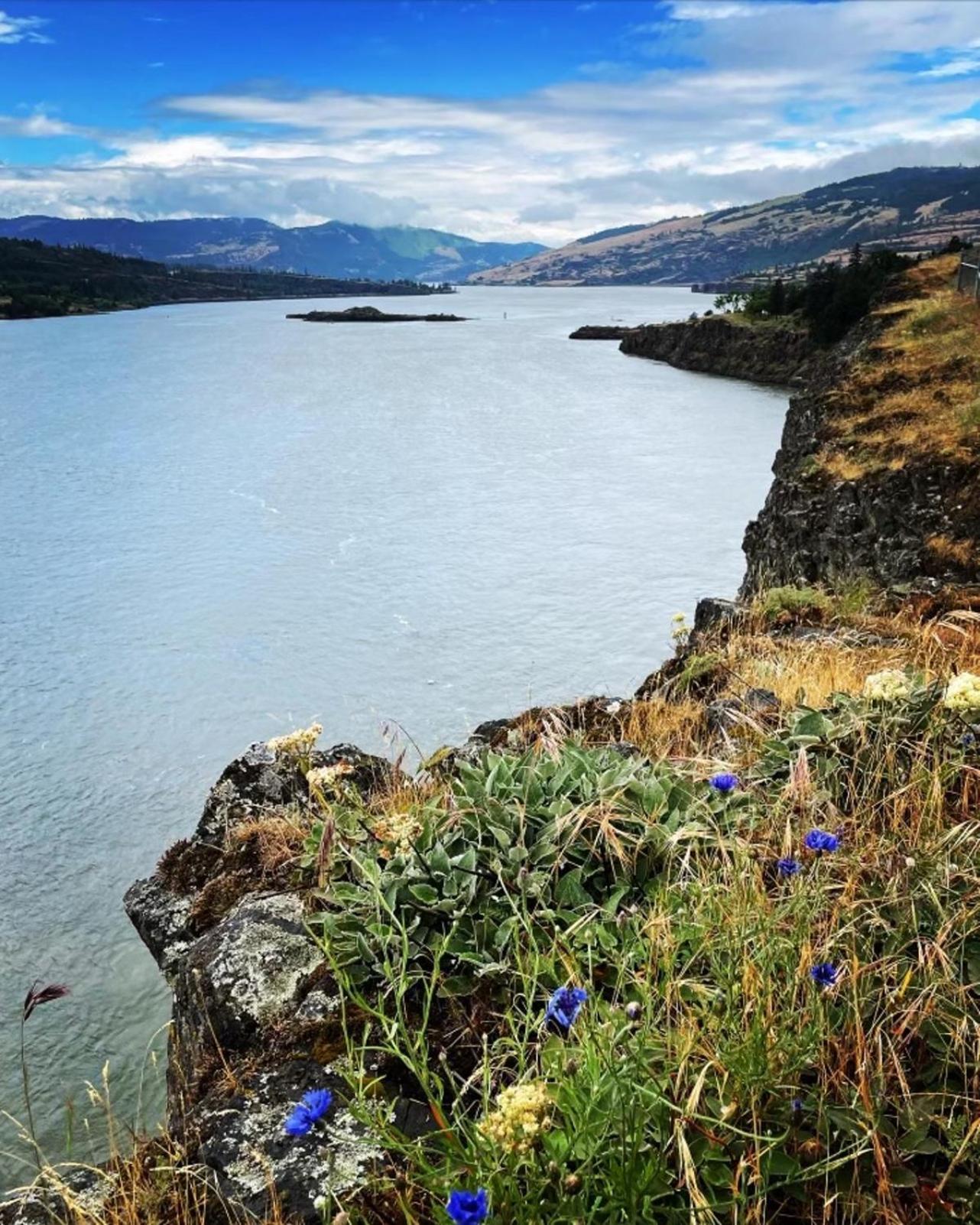 Gorgeous Gateway To The Columbia River Gorge Washougal Eksteriør billede